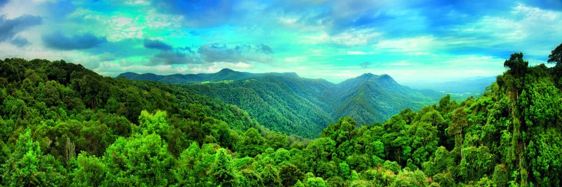 Visuel RSE Rapidhome